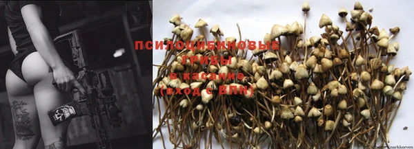прущая мука Аркадак